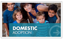 Domestic Adoption